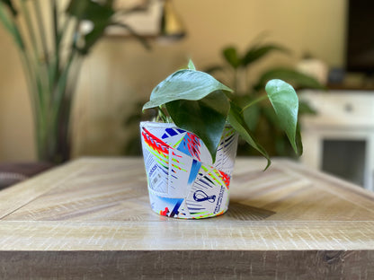 Adidas World Cup 22 Pot