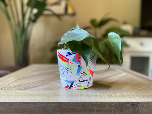 Adidas World Cup 22 Pot